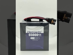 여기에 반 고체 상태 배터리 18S 66.6V 65000mAh