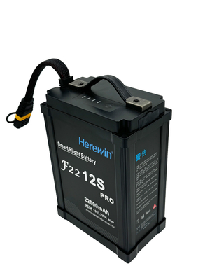 12s 22000mAh 스마트 농업 드론 리온 배터리 팩